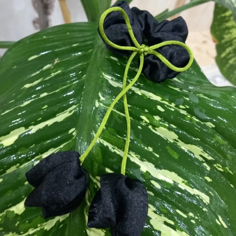 کش مو لاله ای