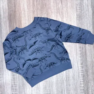 دورس نقلی H&M