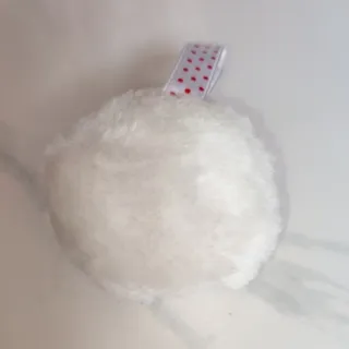 جاسویچی