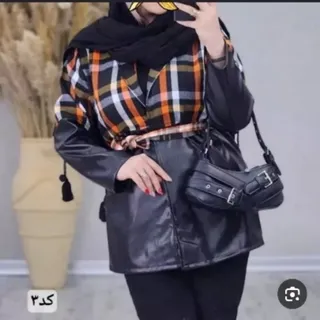 .پالتو