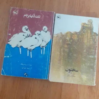 سختون .لک لک ها بر بام