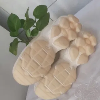کفش زیبامون