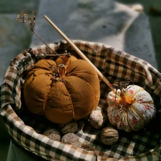 کدو پاییزی