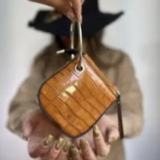 مینی بگ مجلسی