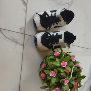 کفش اسپرت