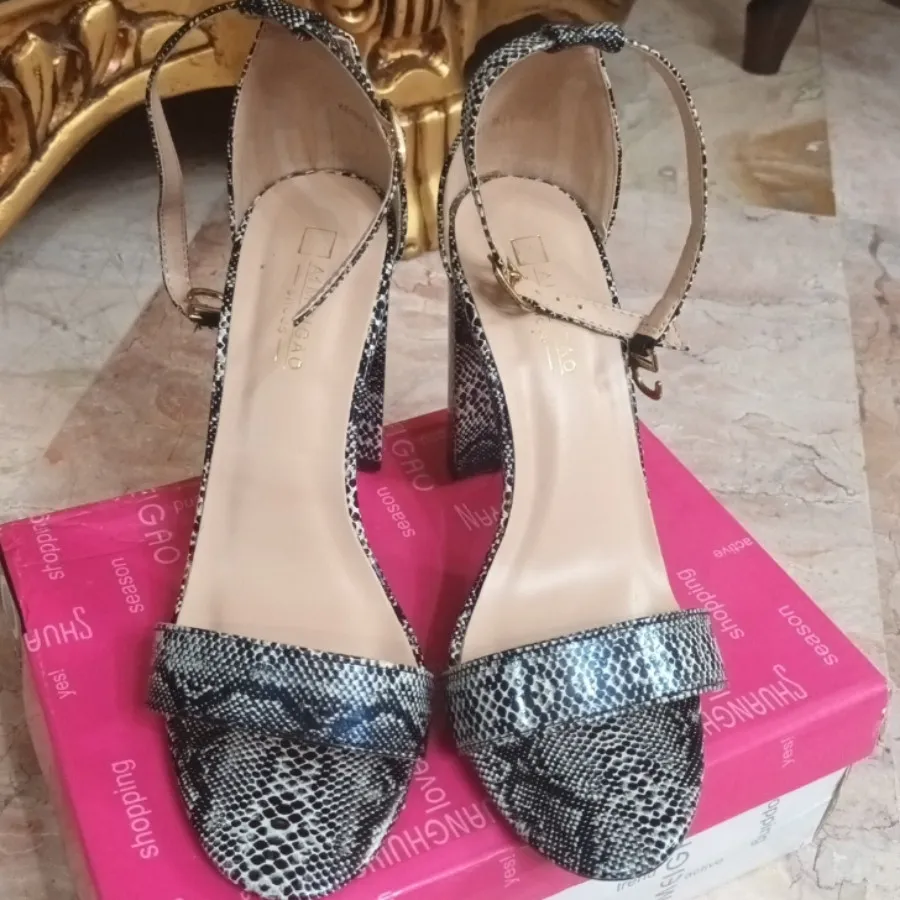 کفش مجلسی