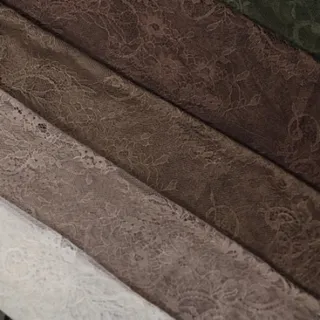 دانتل فرانسه