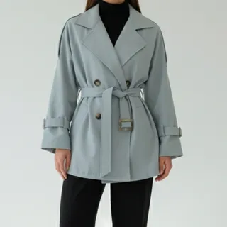 بارونی