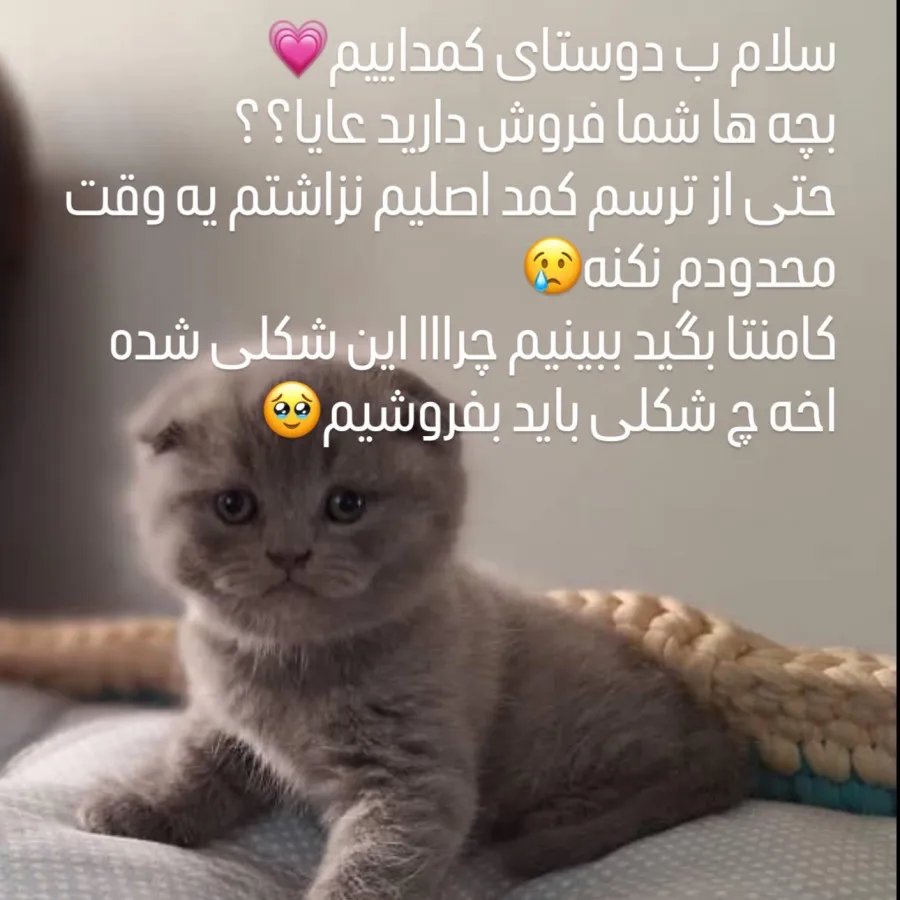 پیشولی??