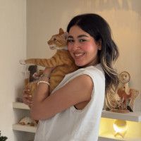 Hosna Meow