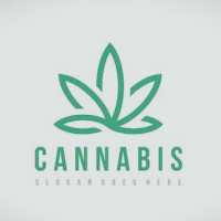 cannabis ☘️☘️