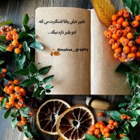 خانم وکیل
