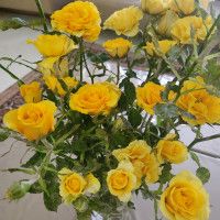 خاله زی زی