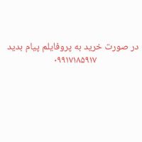 شیک پوش برند
