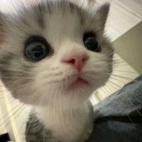 لباس با تخفیف