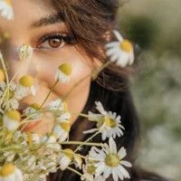 گل بابونه