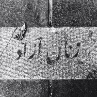 ونتا ‌‌‌