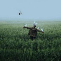 ماهلین ماهی