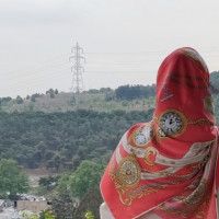 همه چیز اینجا ارزونه
