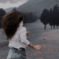 شین بست